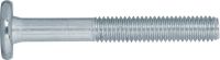 Hexagonal socket pan head furniture screw, partially threaded with dogpoint