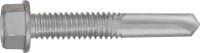 MPT 12 self-drilling screw (ceramic coating)